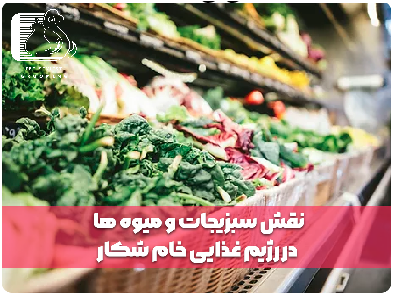 نقش سبزیجات و میوه ها در رژیم غذایی خام شکار